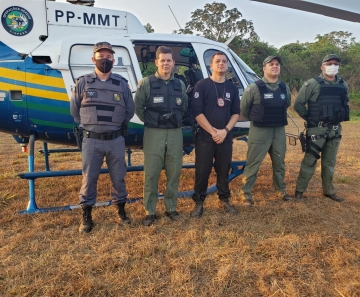 Durante operação, policiais descobrem plantação de maconha em área de mata em Lucas do Rio Verde