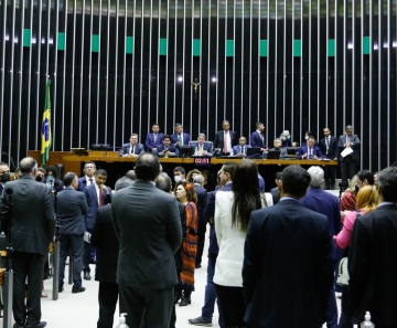 © Elaine Menke/Câmara dos Deputados