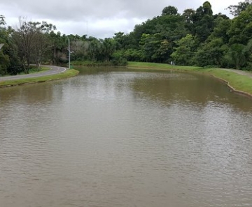 https://media-cdn.tripadvisor.com/media/photo-s/0d/e8/76/75/parque-dos-buritis.jpg