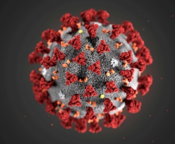 Ilustração feita pelo Centro de Controle e Prevenção de Doenças (CDC), dos EUA, mostra a morfologia do novo coronavírus, conhecido cientificamente como 2019-nCoV — Foto: Alissa Eckert, MS; Dan Higgins, MAM/CDC/Handout via Reuters