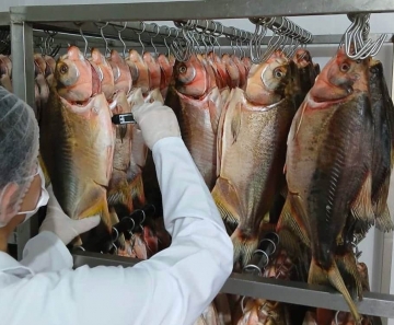 inspecao_alimentos_origem_animal_mt_outubro_2026_assessoria