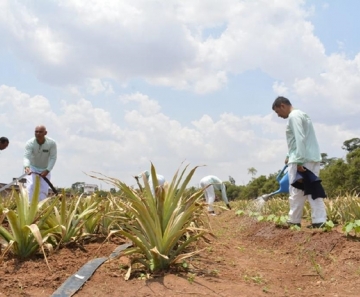Inspeção no presídio Ferrugem, em Sinop - Foto: Tchelo Figueiredo/Secom-MT