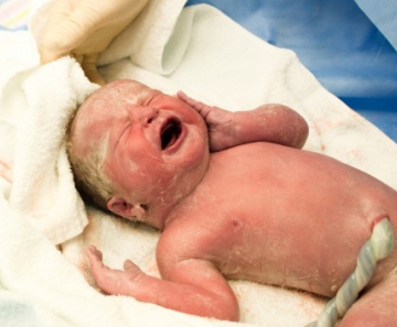 istock_000010855894_small_e1419298359960