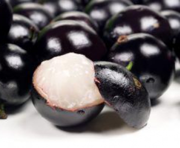 jabuticaba_300x200