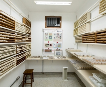 Laboratório de pesquisa sobre controle biológico na USP de Piracicaba — Foto: Gerhard Waller