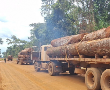 madeira_apreendida_caminhao