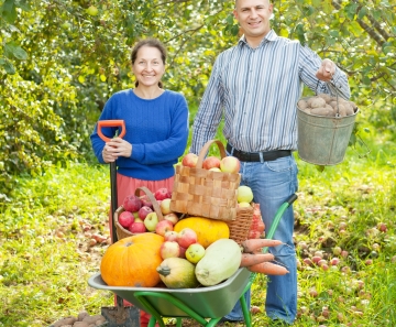man_woman_with_harvested_vegetables