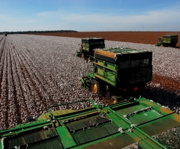 Máquinas são utilizadas na produção em MT. — Foto: Gcom-MT