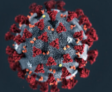 mitosis_3876669_1920