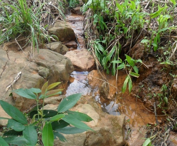 nascente de água rio cba