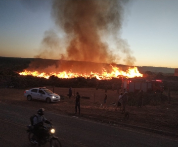 O incêndio durou por 12 horas até ser controlado e as chamas chegaram a quatro metros de altura