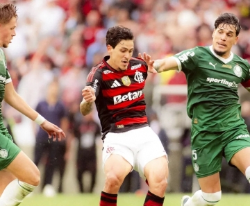 palmeiras_x_flamengo_e1761908063857