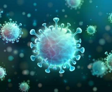 Películas à base de detergente inativam vírus similar ao da Covid-19 em minutos