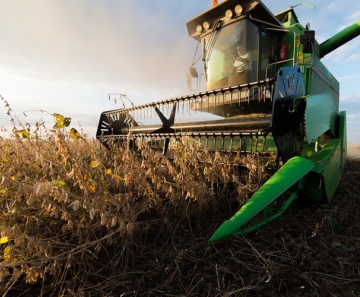 produção agrícola