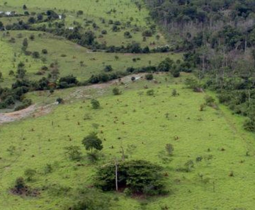 propriedade rural