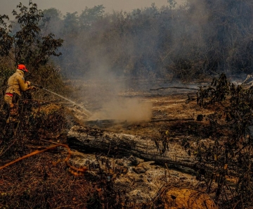 Recursos vão custear 37 ações durante 90 dias na região do Pantanal