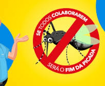 Saiba como proteger o ambiente dos mosquitos e quando passar repelente