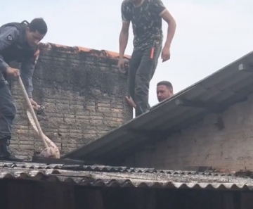 Soldado Xavier retirou a jiboia do telhado para que o animal não oferecesse risco aos moradores — Foto: Polícia Militar - MT