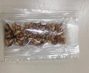 Três casos de pacotes com sementes que chegaram em MT foram registrados pelo órgão.