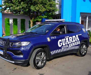 vtr_gm_dia