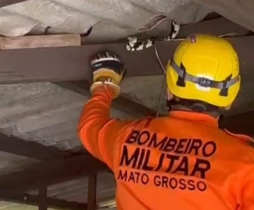 whatsapp_image_2026_02_14_at_16_56_43